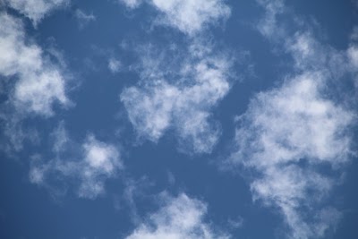 IMG_4682.JPG