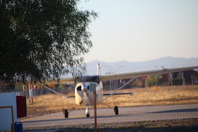 IMG_6553.JPG