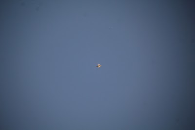 IMG_6602.JPG