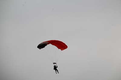 IMG_4493.JPG