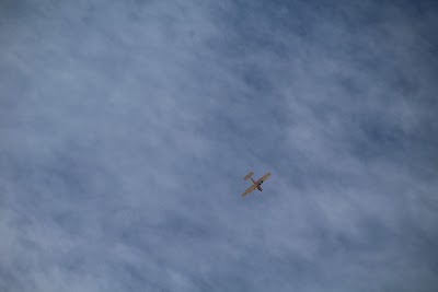 IMG_4563.JPG