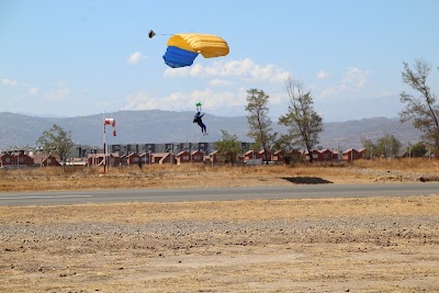 IMG_4994.JPG