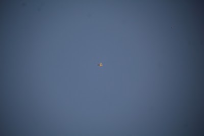 IMG_6605.JPG