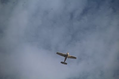 IMG_7153.JPG