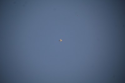 IMG_6603.JPG