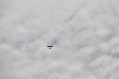 IMG_4553.JPG