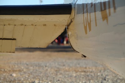 IMG_6317.JPG