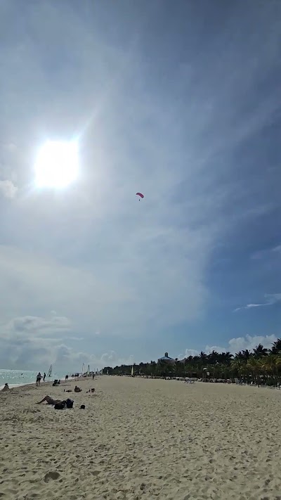 20241229_140911.mp4
