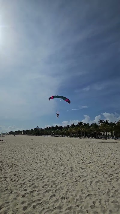 20241229_140855.mp4