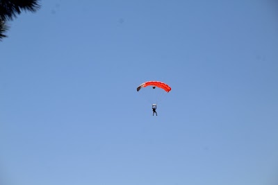 IMG_5026.JPG
