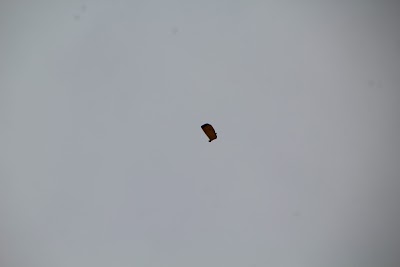 IMG_4466.JPG