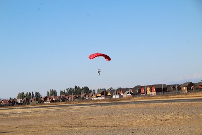 IMG_5175.JPG