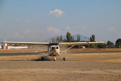 IMG_4795.JPG