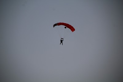 IMG_5261.JPG