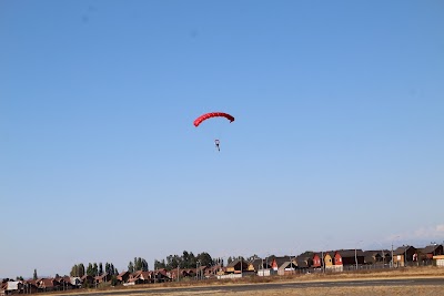 IMG_5173.JPG