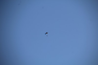 IMG_4910.JPG