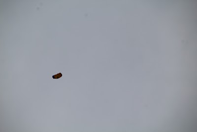 IMG_4465.JPG