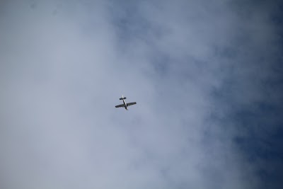 IMG_7156.JPG