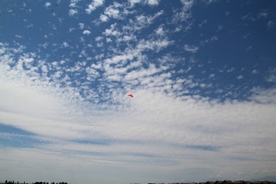 IMG_4702.JPG