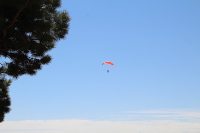 IMG_5027.JPG