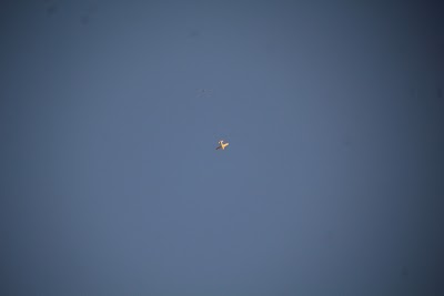 IMG_6599.JPG