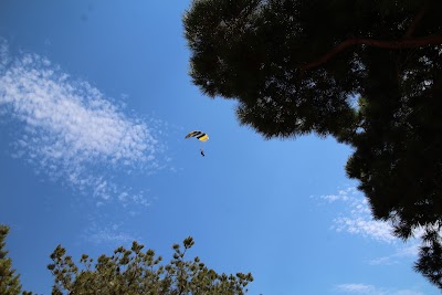 IMG_4691.JPG