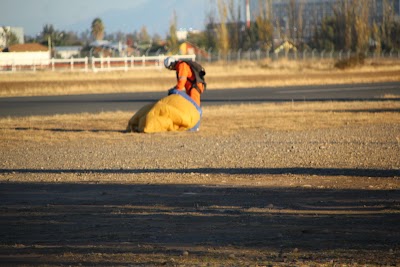 IMG_6555.JPG