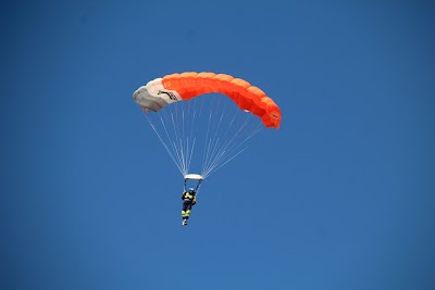 IMG_5102.JPG