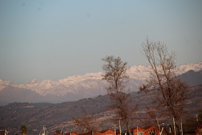 IMG_6482.JPG