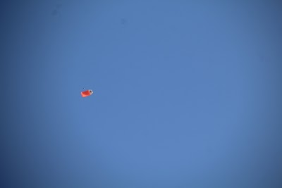 IMG_4913.JPG