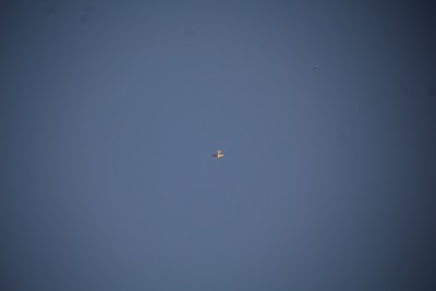 IMG_6604.JPG