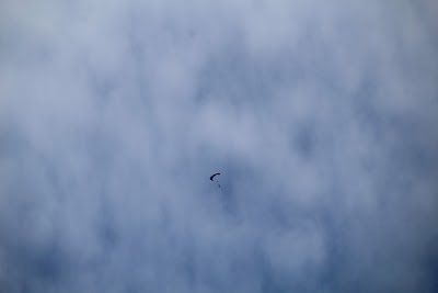 IMG_4606.JPG