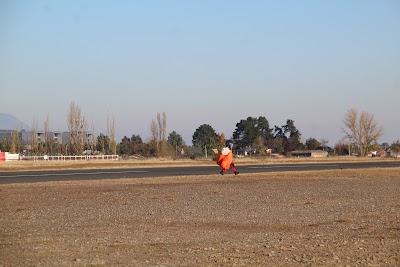 IMG_6316.JPG