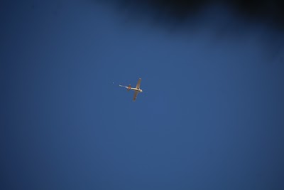 IMG_6467.JPG