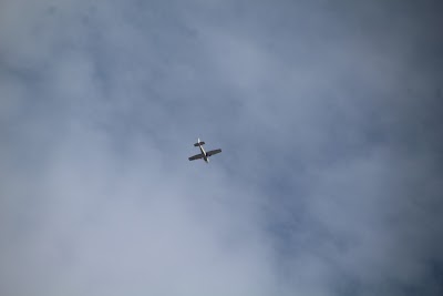 IMG_7155.JPG