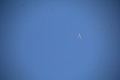 IMG_4758.JPG
