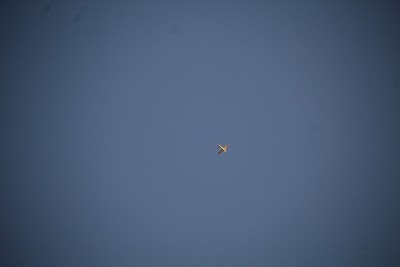 IMG_6592.JPG