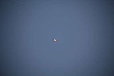 IMG_6597.JPG