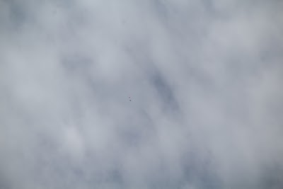 IMG_4601.JPG