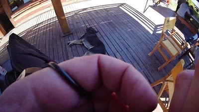 GX010009.MP4