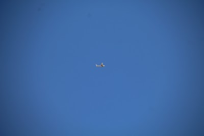 IMG_5164.JPG