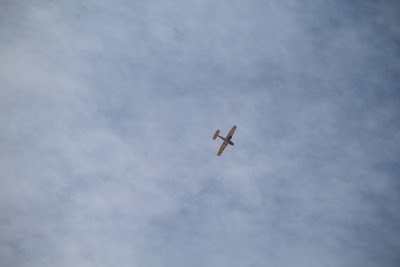IMG_4560.JPG