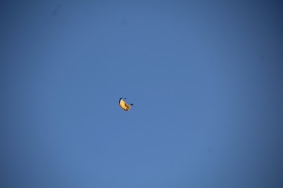IMG_4915.JPG