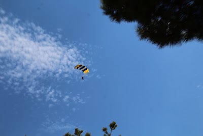 IMG_4690.JPG