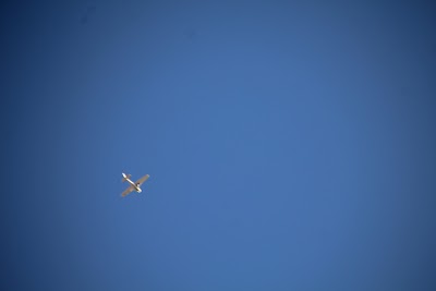 IMG_4365.JPG