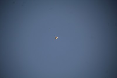 IMG_6598.JPG