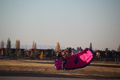 IMG_6536.JPG