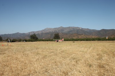 IMG_9864.JPG