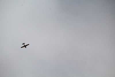 IMG_4526.JPG