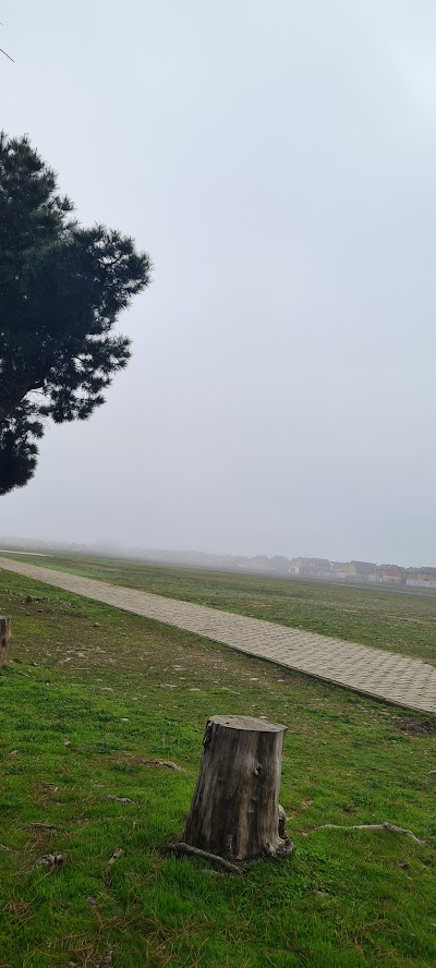 20210829_094458.jpg